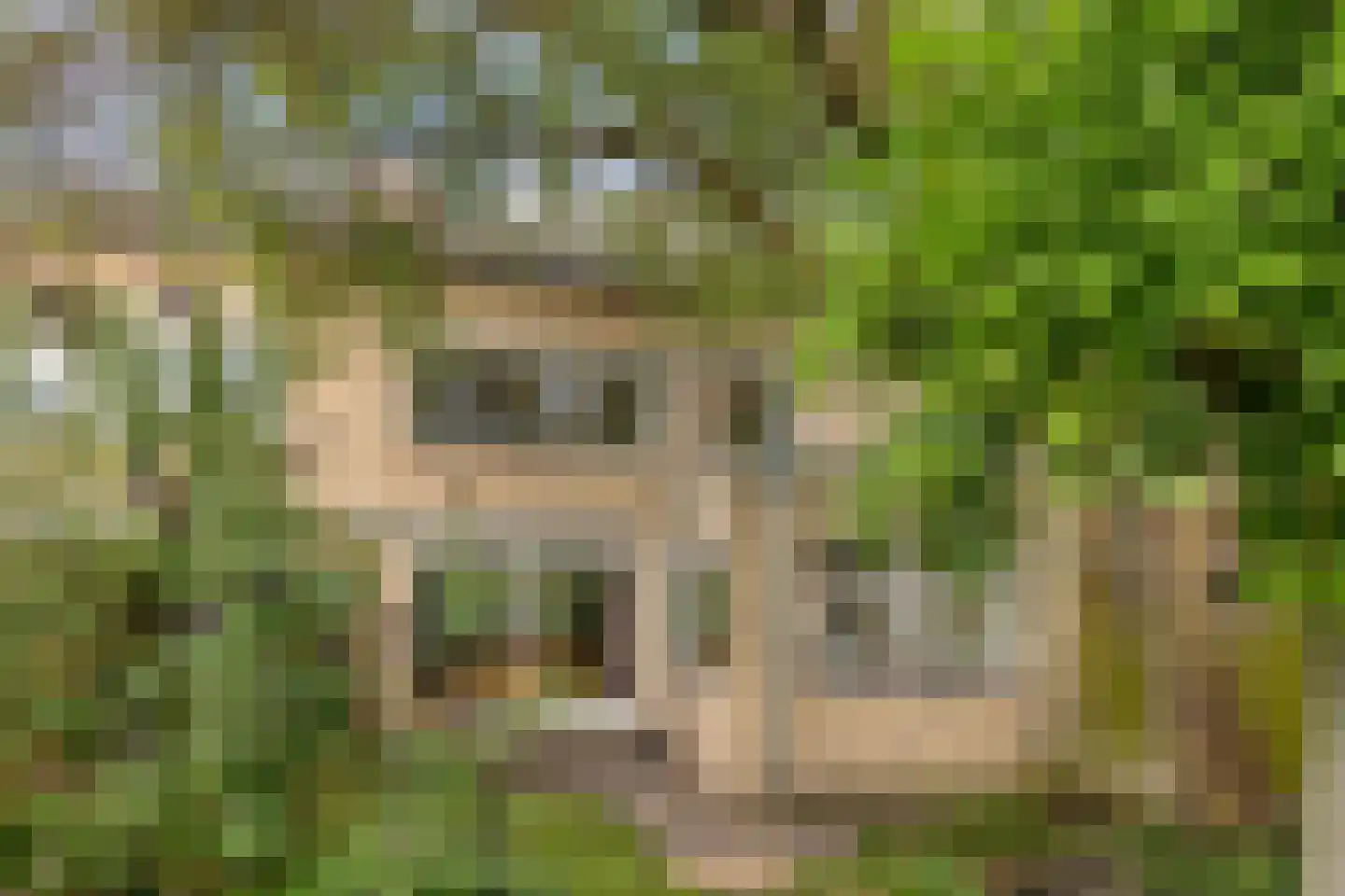 De Vleeshouwer 3 Veldhoven thumbnail 35