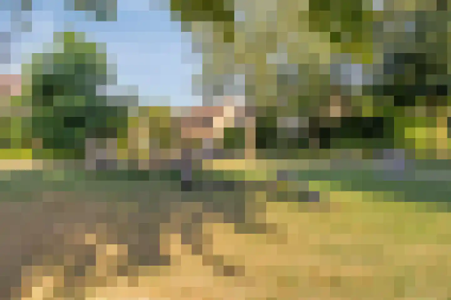 De Vleeshouwer 3 Veldhoven thumbnail 37