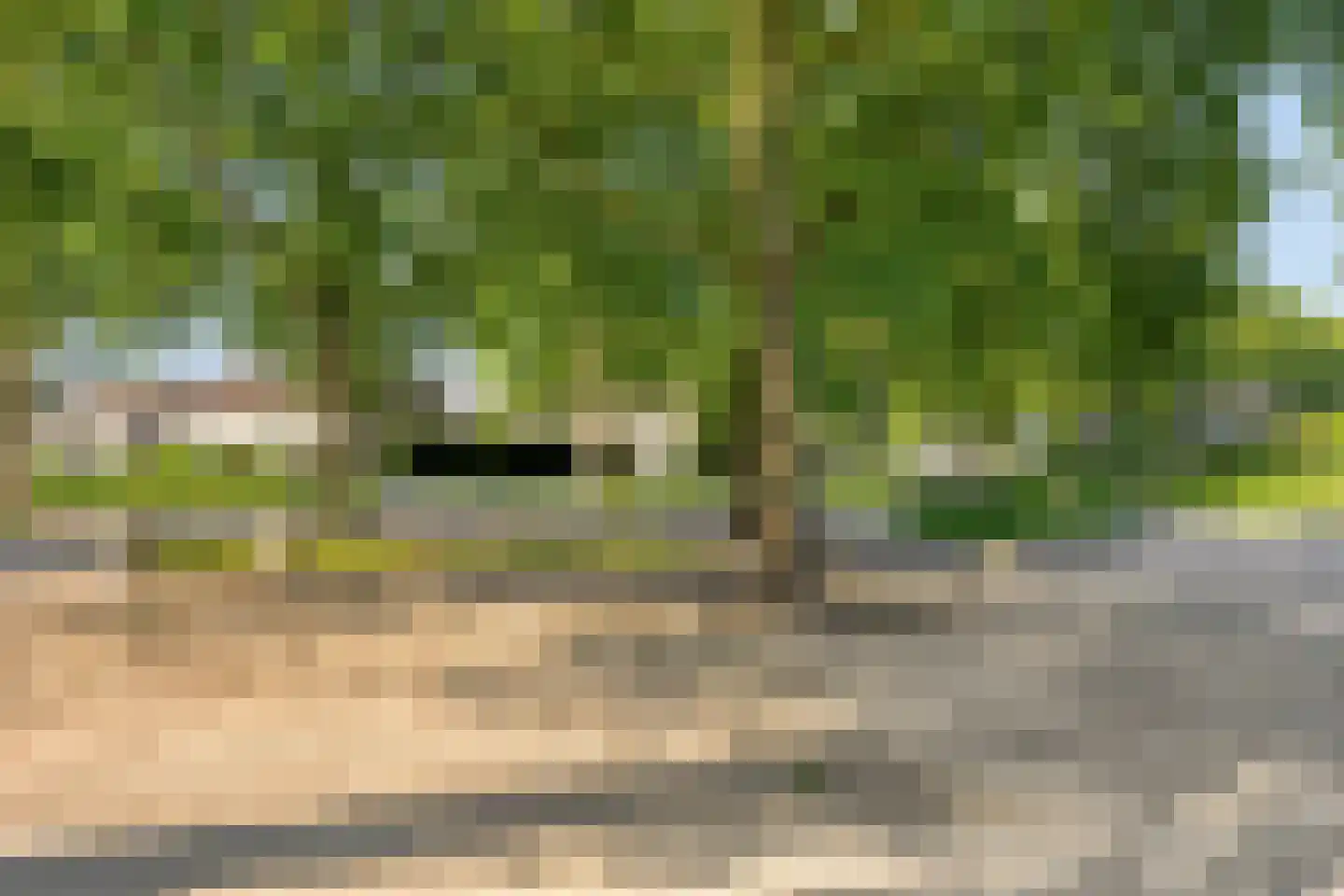 De Vleeshouwer 3 Veldhoven thumbnail 38