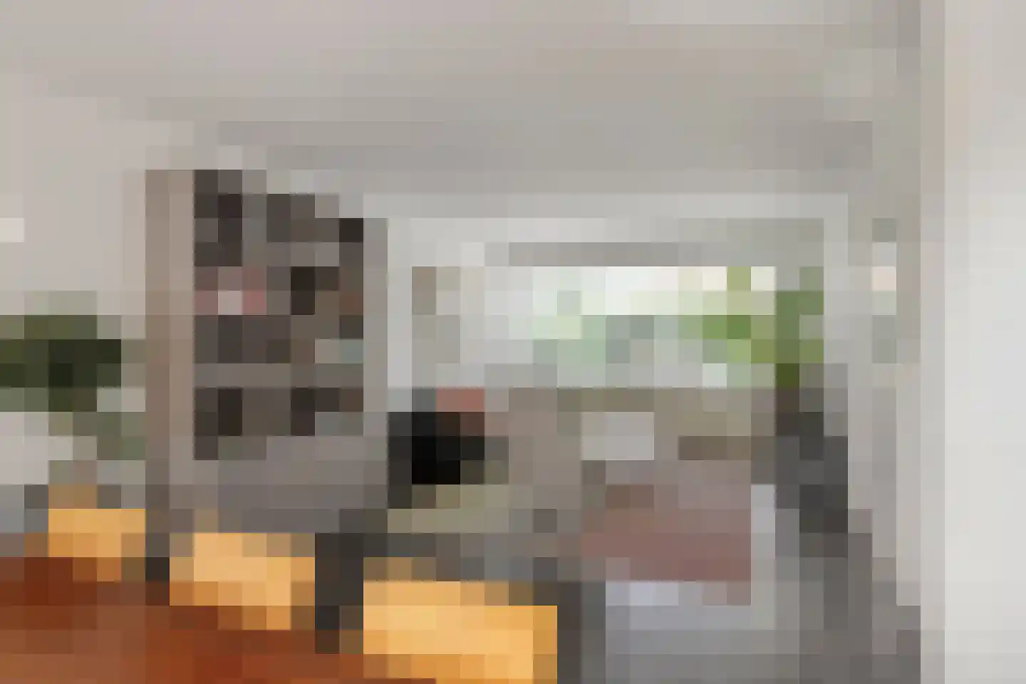 De Vleeshouwer 3 Veldhoven thumbnail 4