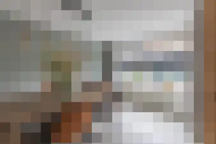 De Vleet 1 Graft thumbnail 12