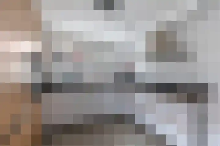 De Vleet 1 Graft thumbnail 14