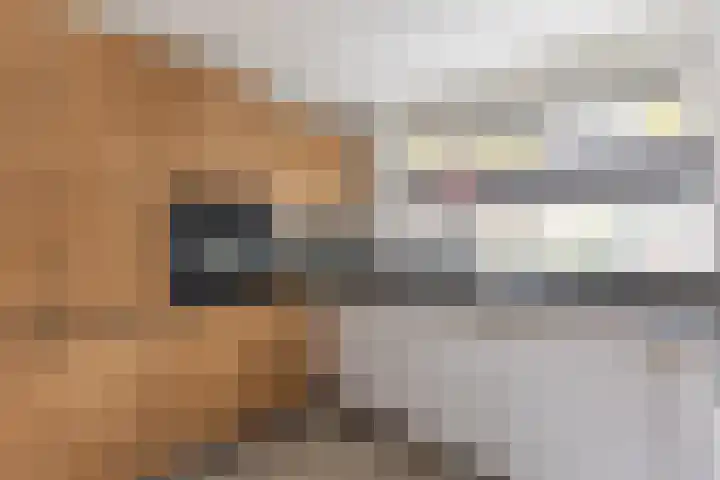 De Vleet 1 Graft thumbnail 16