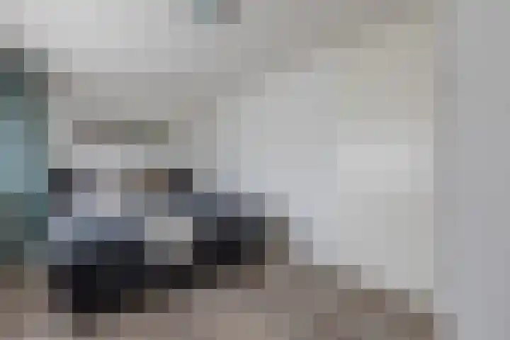 De Vleet 1 Graft thumbnail 23