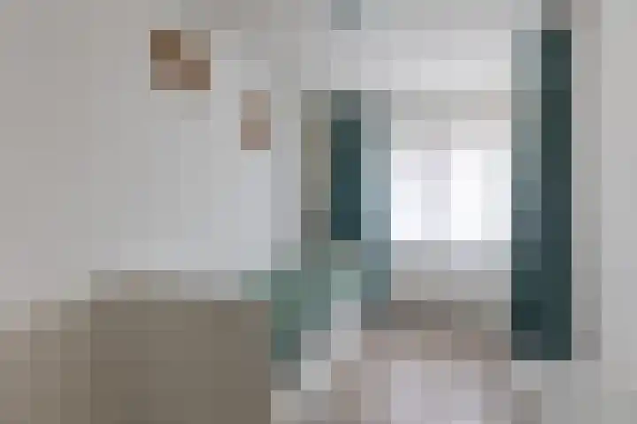 De Vleet 1 Graft thumbnail 27