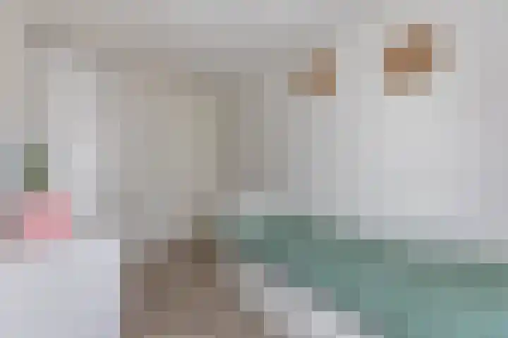 De Vleet 1 Graft thumbnail 28