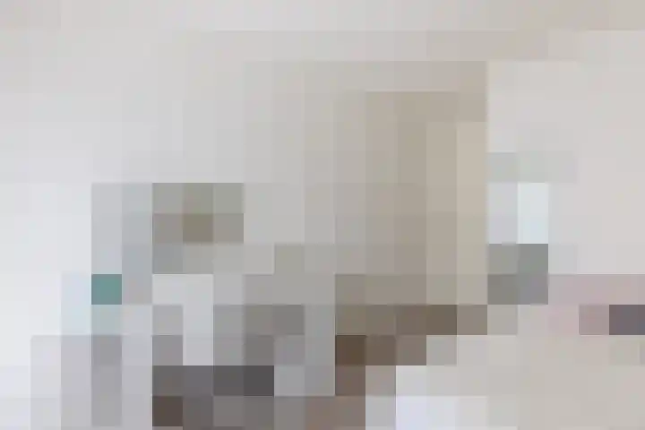 De Vleet 1 Graft thumbnail 31