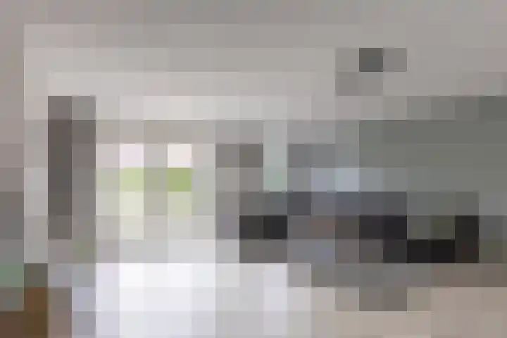 De Vleet 1 Graft thumbnail 4