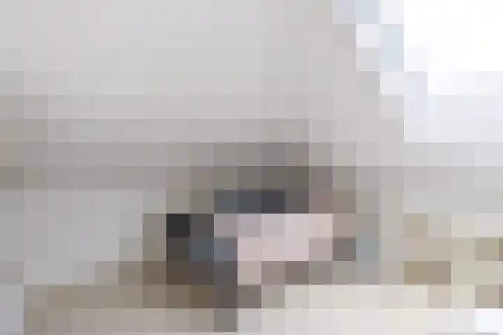 De Vleet 1 Graft thumbnail 40