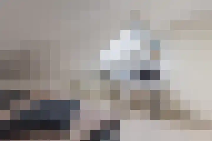 De Vleet 1 Graft thumbnail 41