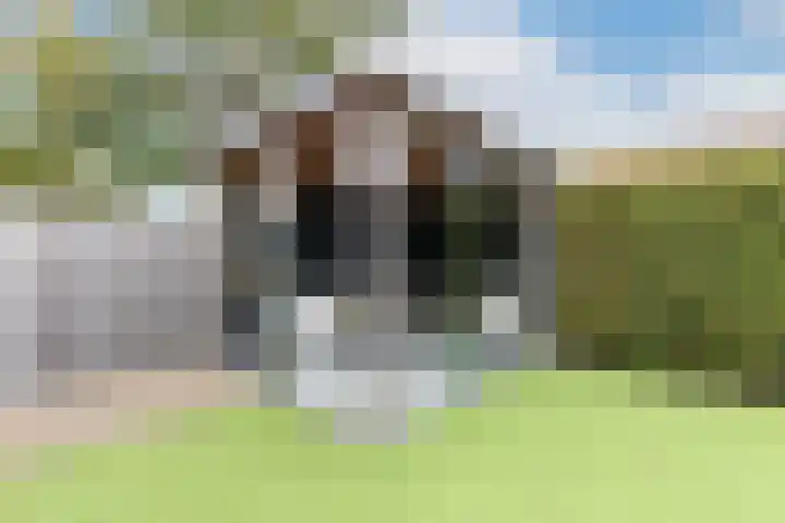 De Vleet 1 Graft thumbnail 46
