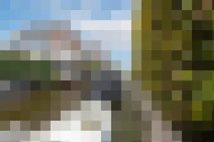 De Vleet 1 Graft thumbnail 47