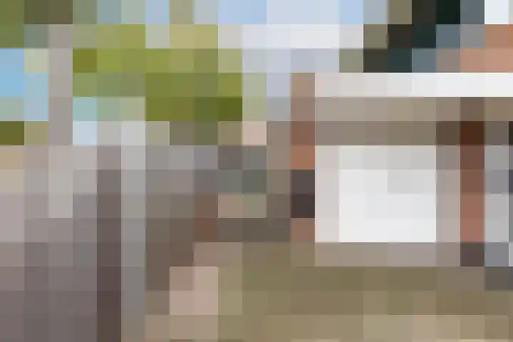 De Vleet 1 Graft thumbnail 48