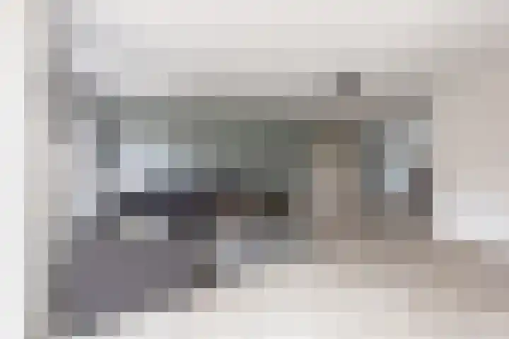 De Vleet 1 Graft thumbnail 5
