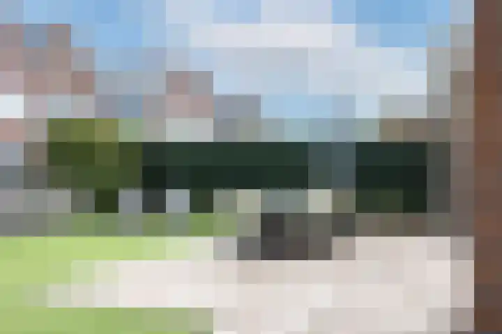 De Vleet 1 Graft thumbnail 51