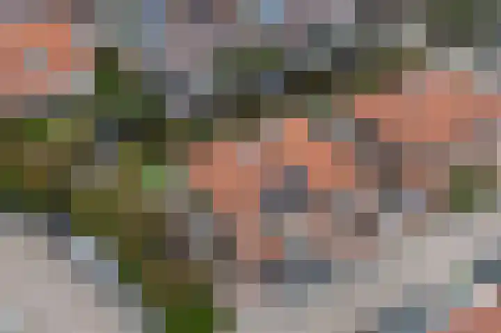 De Vleet 1 Graft thumbnail 52