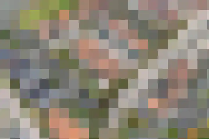De Vleet 1 Graft thumbnail 54