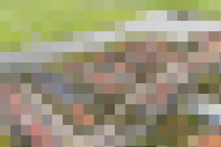 De Vleet 1 Graft thumbnail 55
