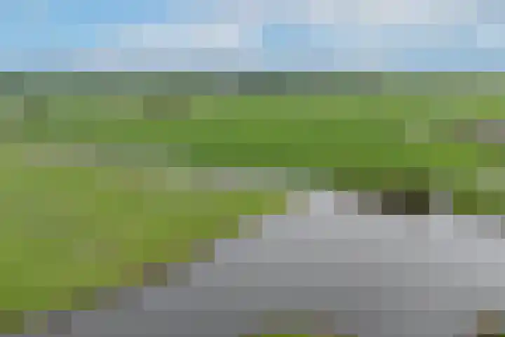 De Vleet 1 Graft thumbnail 56