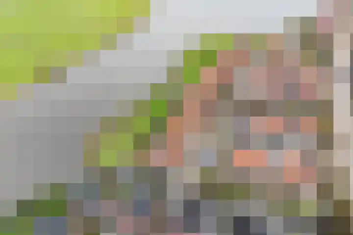 De Vleet 1 Graft thumbnail 57