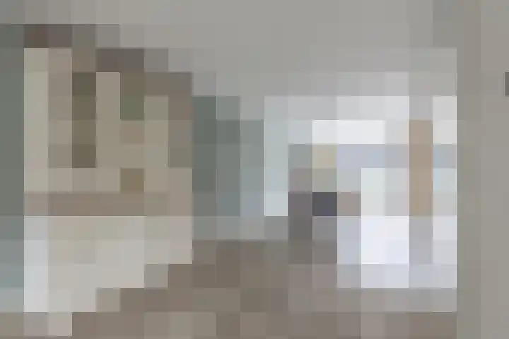 De Vleet 1 Graft thumbnail 7