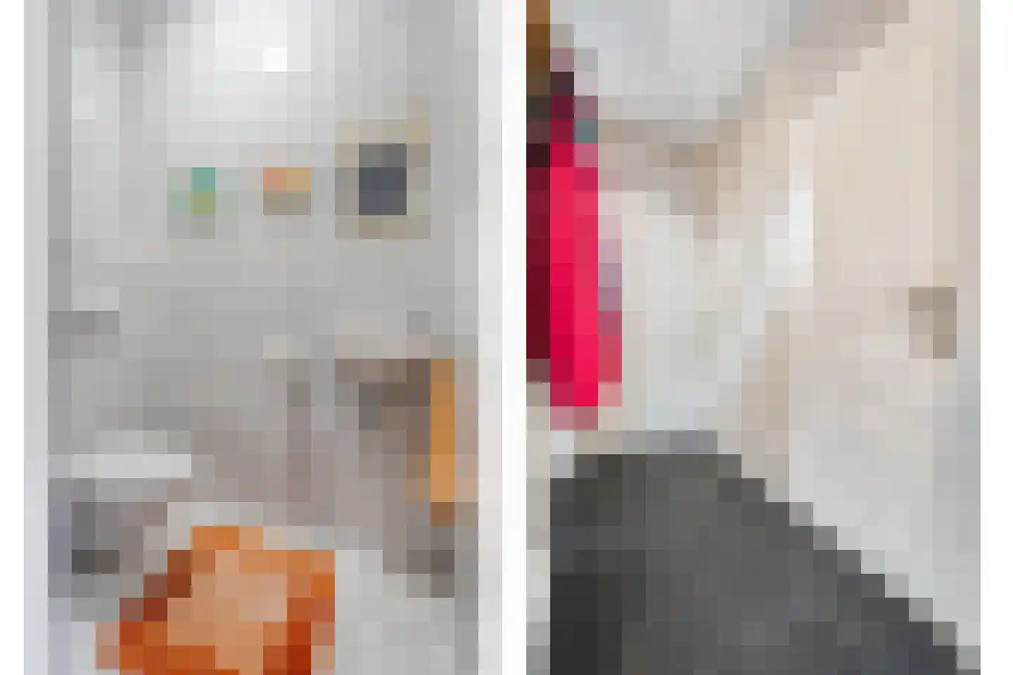 De Vleggedijk 2 Sibculo thumbnail 11