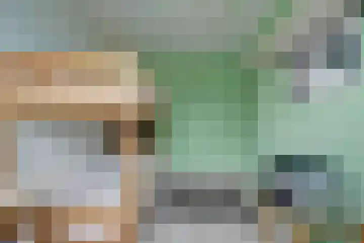 De Vleggedijk 2 Sibculo thumbnail 19