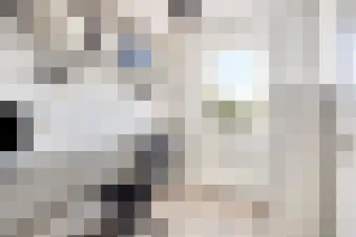 De Vleggedijk 2 Sibculo thumbnail 21