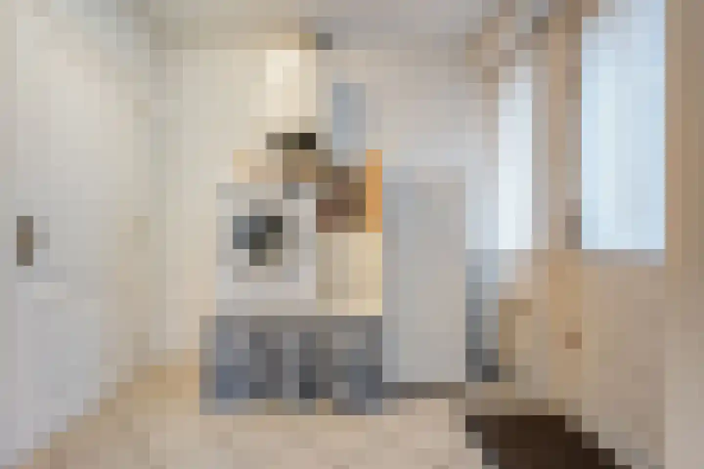 De Vleggedijk 2 Sibculo thumbnail 21
