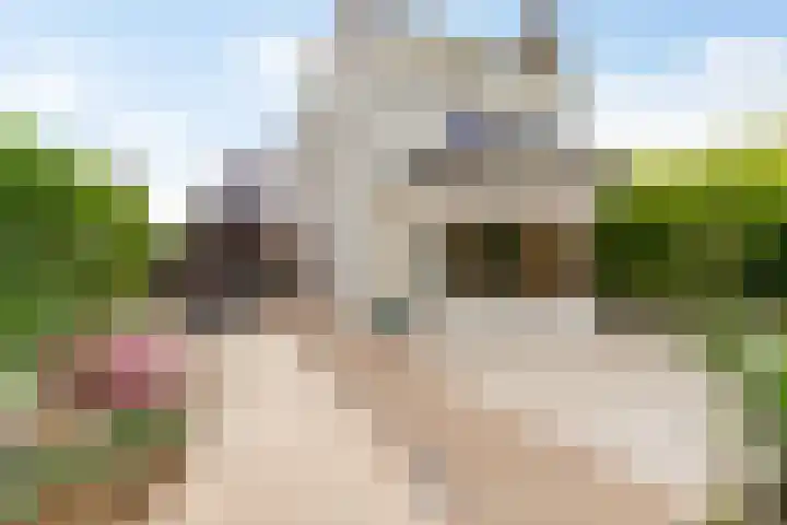 De Vleggedijk 2 Sibculo thumbnail 28