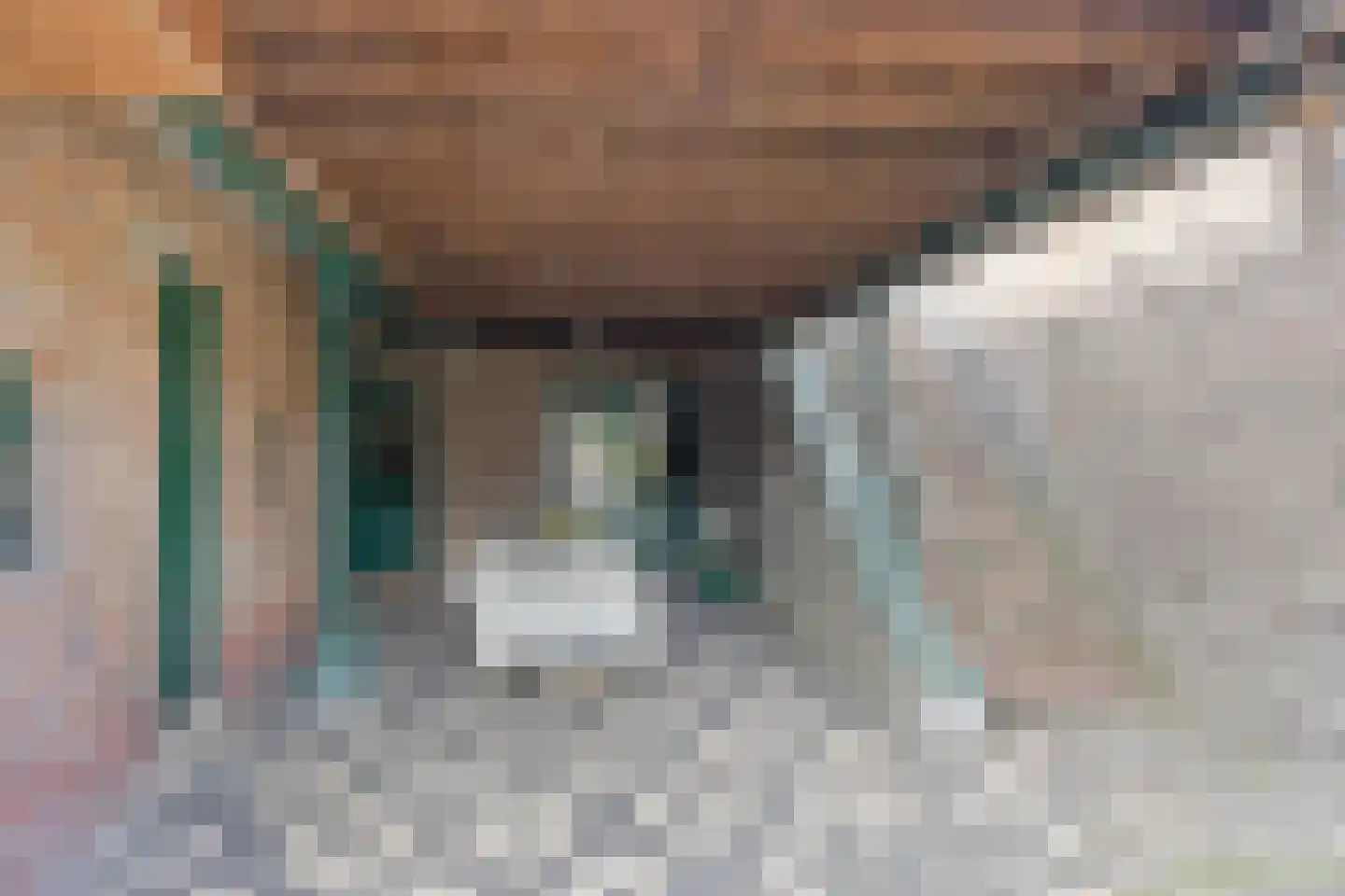 De Vleggedijk 2 Sibculo thumbnail 39