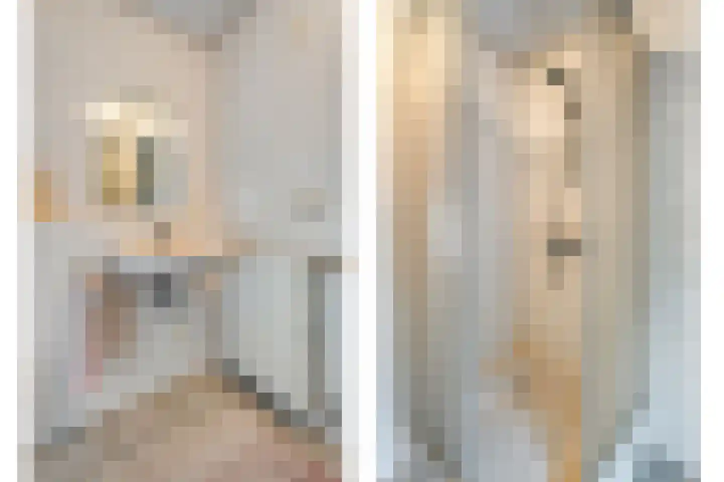 De Vleggedijk 2 Sibculo thumbnail 42