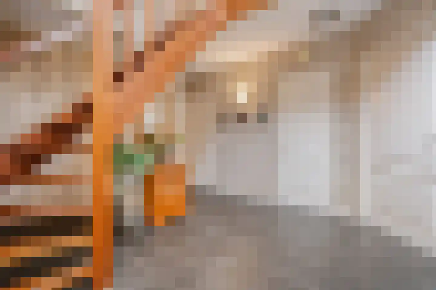 De Vleggedijk 2 Sibculo thumbnail 9