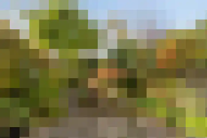 De Vlei 22 Heiloo thumbnail 29