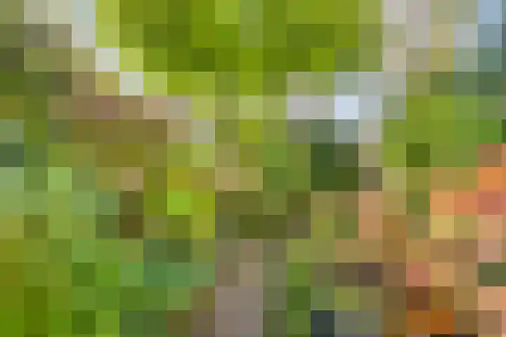 De Vlei 22 Heiloo thumbnail 30