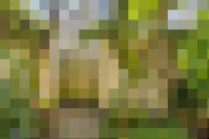 De Vlei 22 Heiloo thumbnail 31