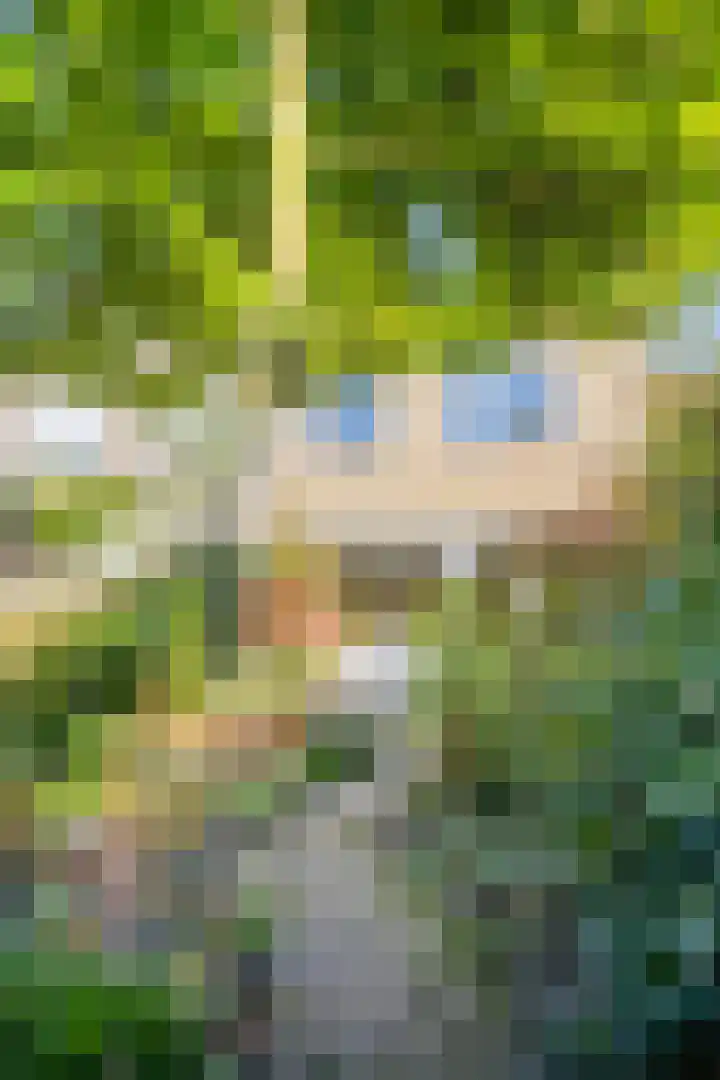 De Vlei 22 Heiloo thumbnail 32