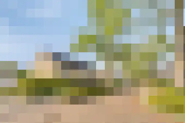 De Vlei 22 Heiloo thumbnail 35