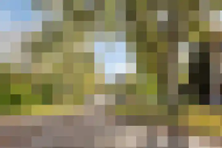 De Vlei 22 Heiloo thumbnail 36