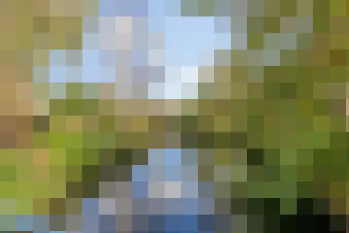 De Vlei 22 Heiloo thumbnail 37