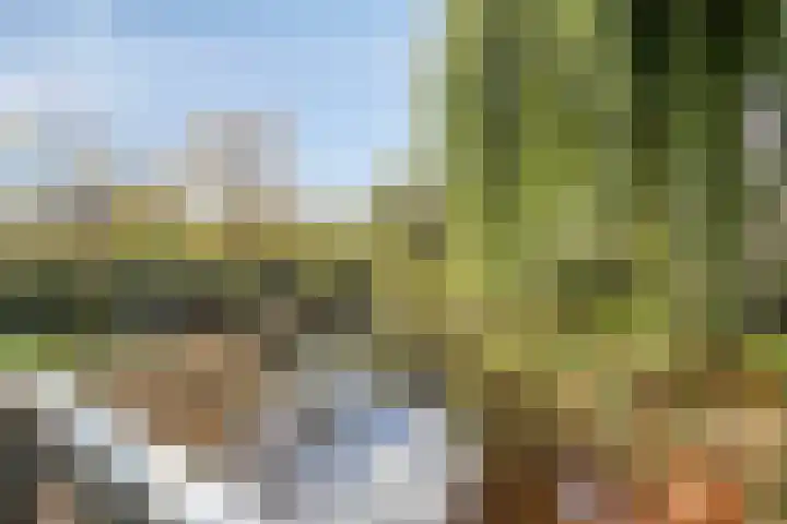De Vlei 22 Heiloo thumbnail 38
