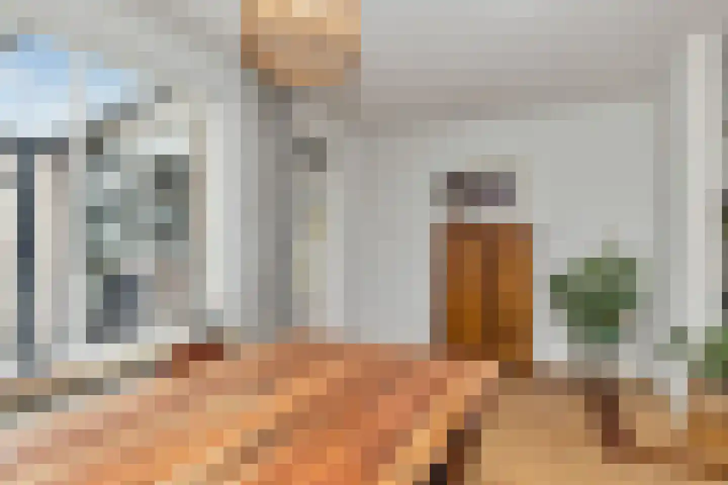 De Vlet 17 Tuitjenhorn thumbnail 14