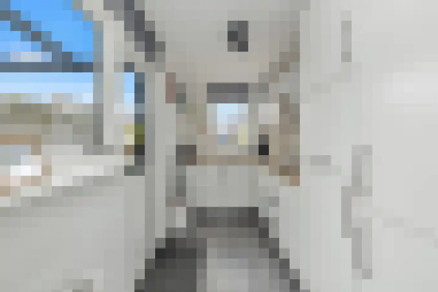 De Vlet 17 Tuitjenhorn thumbnail 15