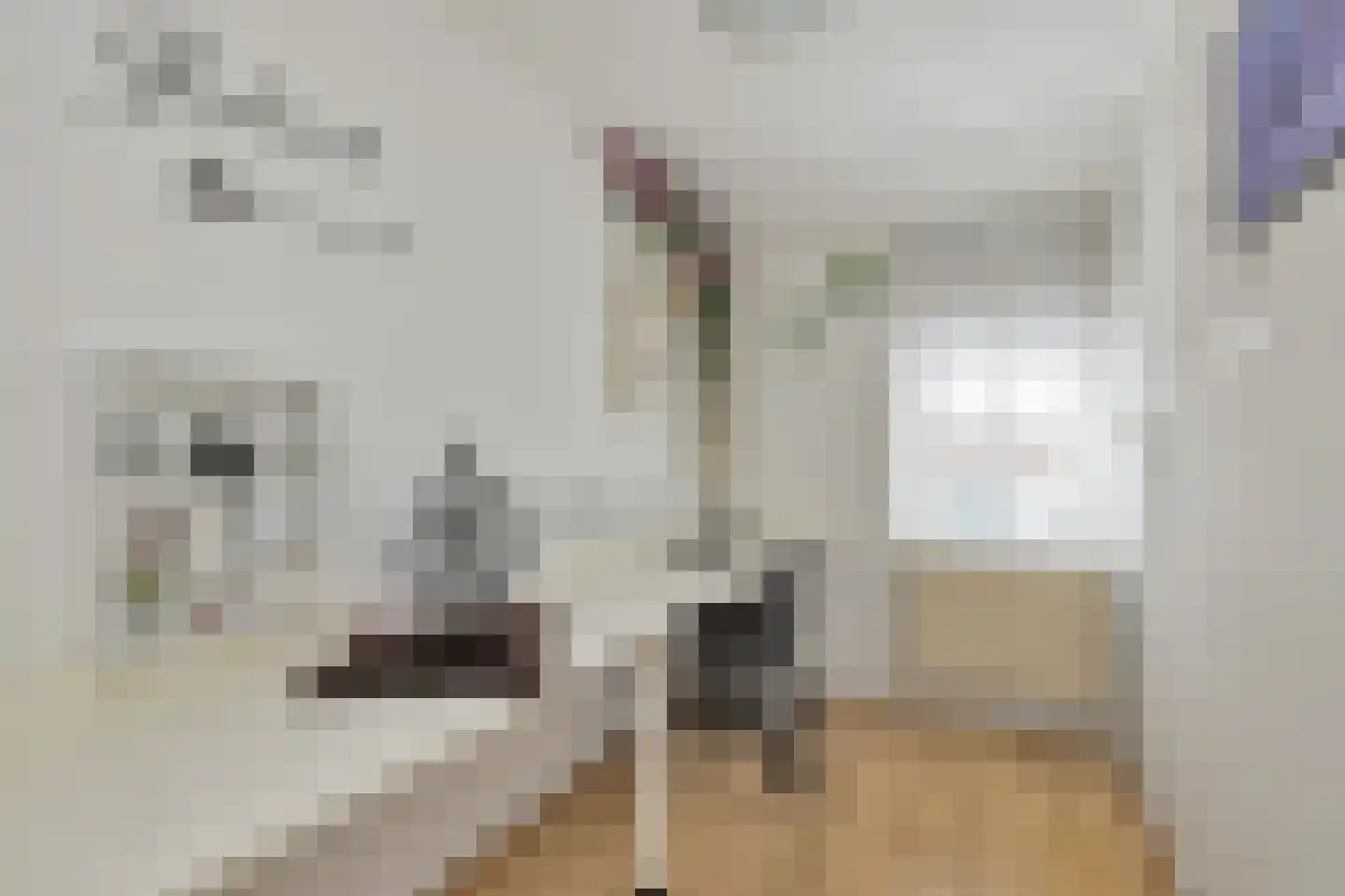 De Vlet 17 Tuitjenhorn thumbnail 23