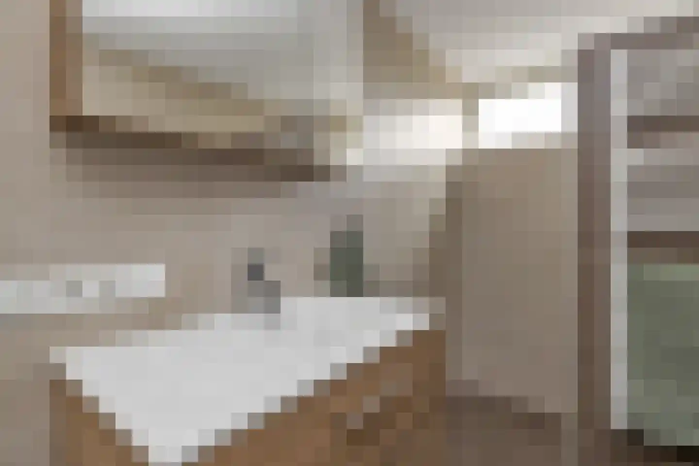 De Vlet 17 Tuitjenhorn thumbnail 25