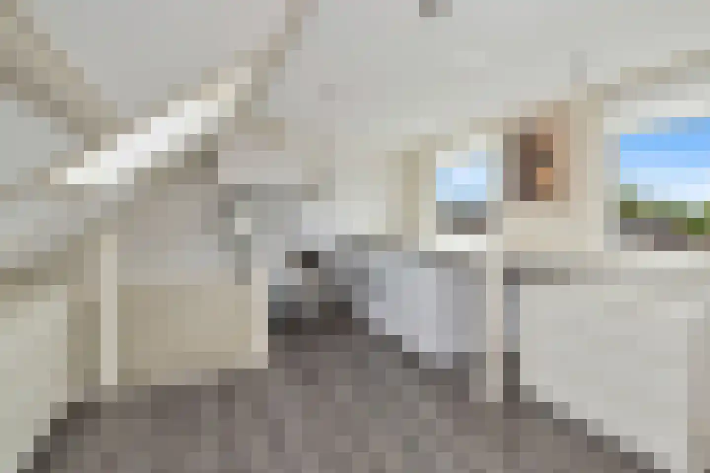 De Vlet 17 Tuitjenhorn thumbnail 28