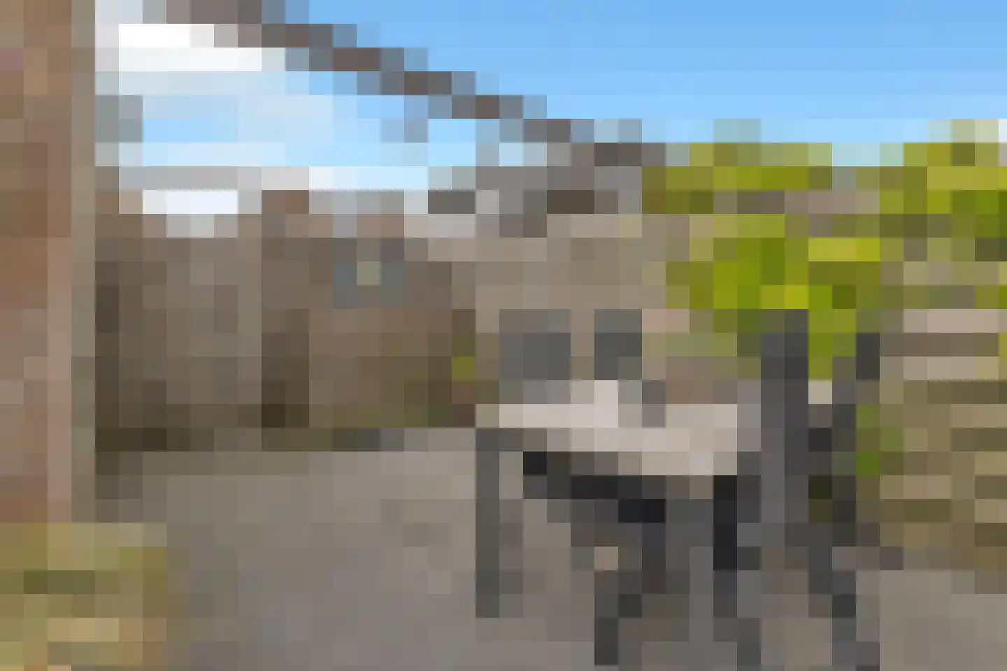 De Vlet 17 Tuitjenhorn thumbnail 35