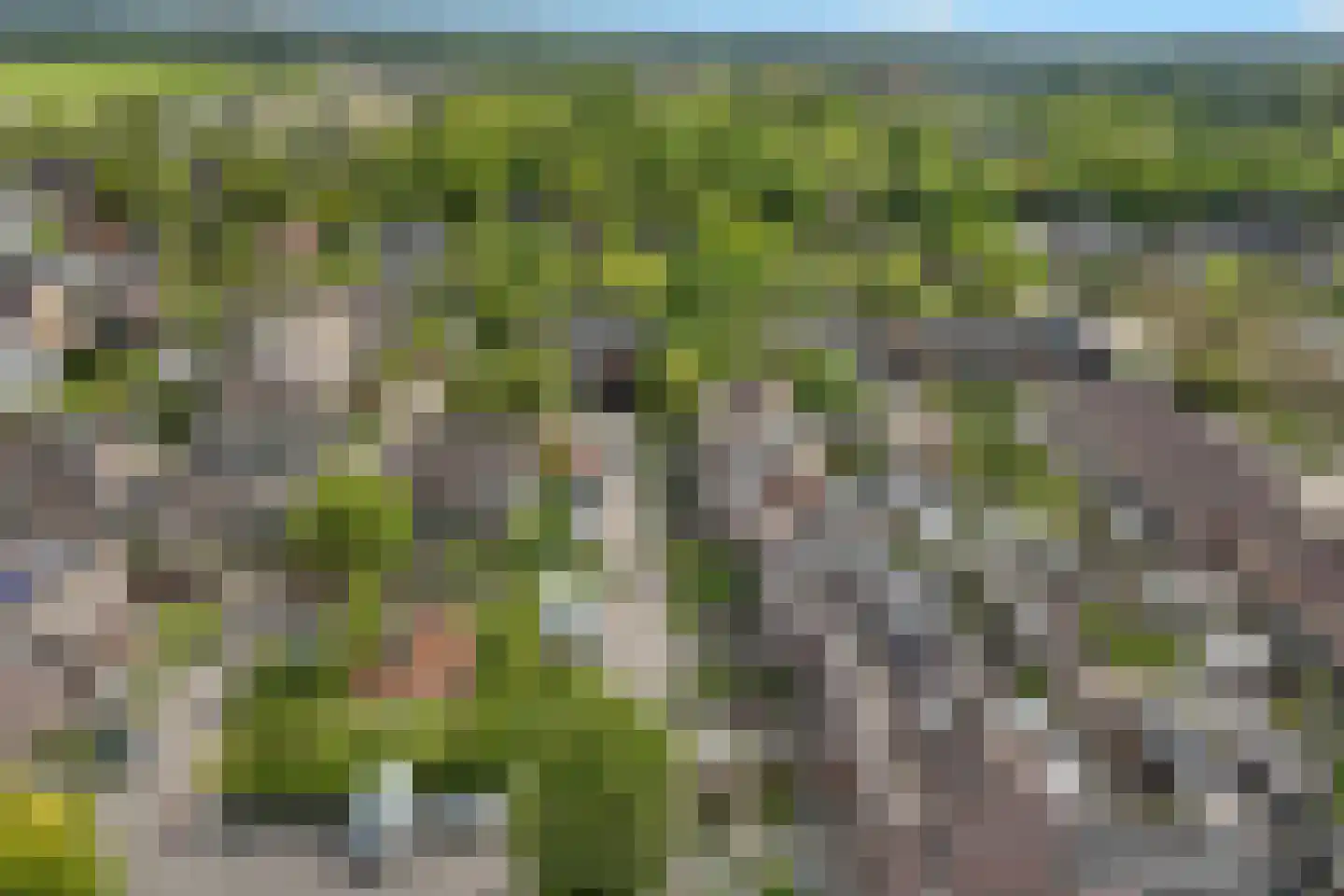 De Vlet 17 Tuitjenhorn thumbnail 43