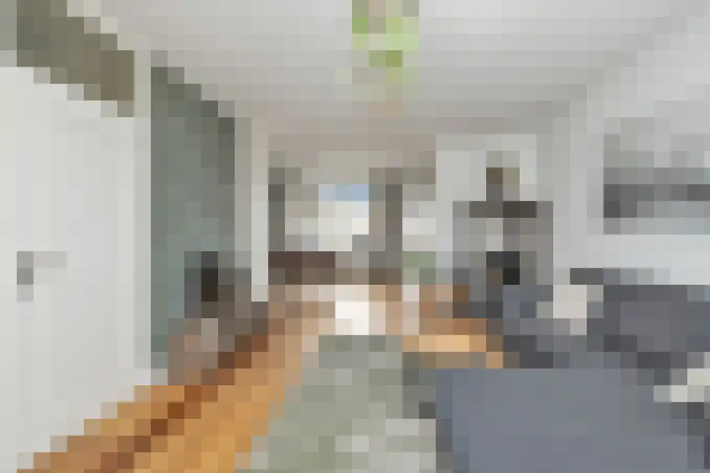 De Vlet 17 Tuitjenhorn thumbnail 6