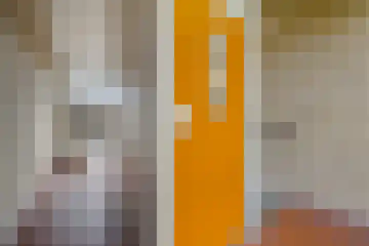 De Vlet 26 1 Grou thumbnail 10